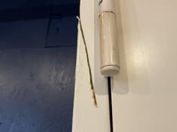 Indvendig dør m. Sikkerhedsglas