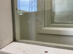 Branddør m. Glas F-30 - Ikke Matteret