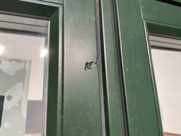 Rationel Dannebrogsvindue